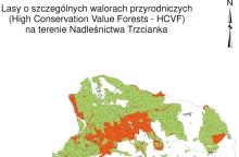 Weryfikacja lokalizacji drzewostanów o szczególnych walorach przyrodniczych