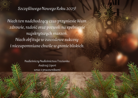 Szczęśliwego Nowego Roku 2025 !!!